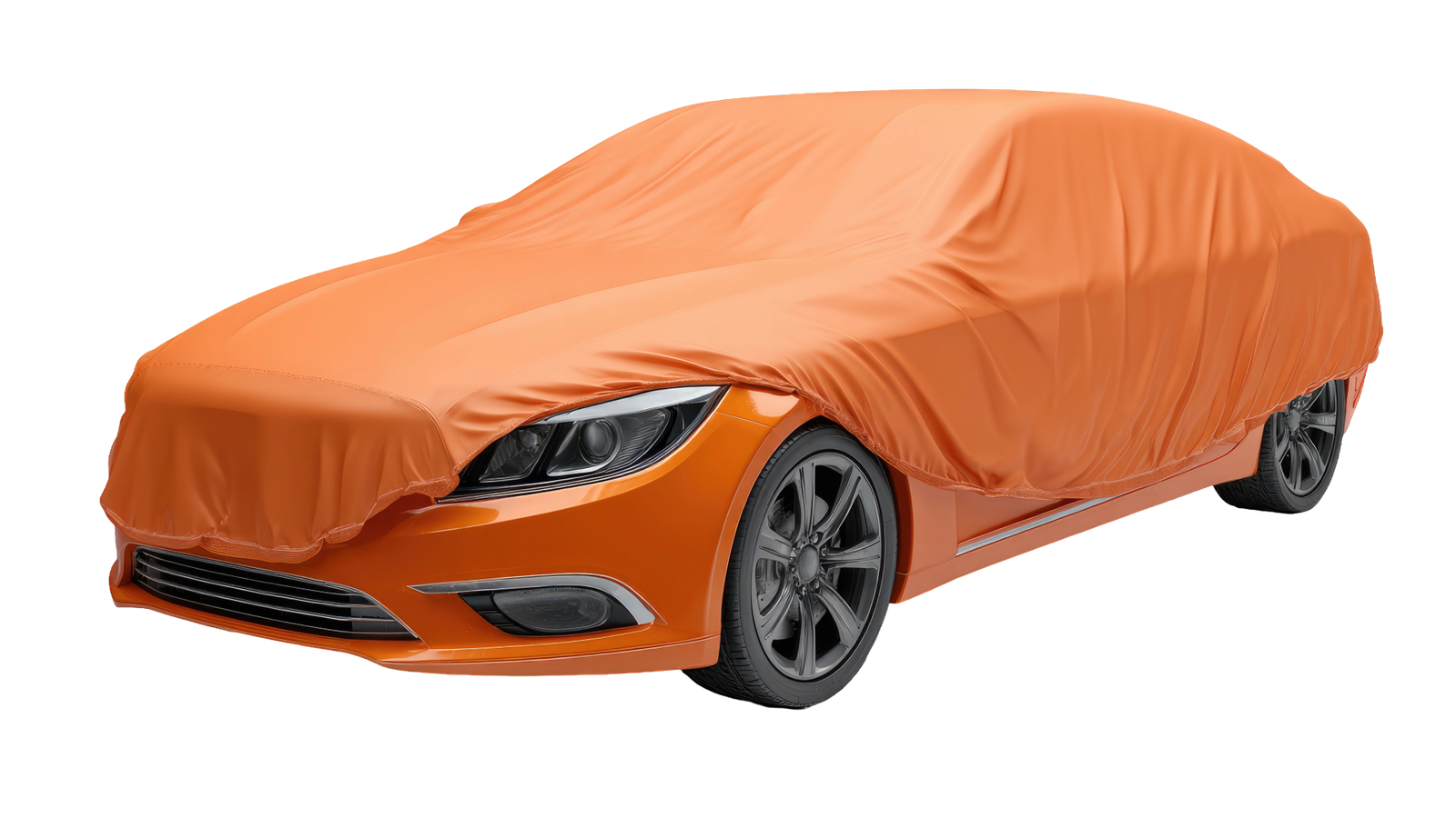 Long-term Storage Solutions